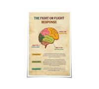 MQXFCZUX Trauma Therapy Brain Chart - Anatomy of the Fight or Flight Response Nervous System, Mental Health Awareness Poster for Psychologist Office Decor Unframed,08x12inch(20x30cm)