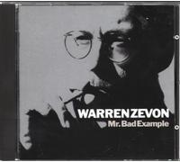 Mr Bad Example
