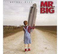 Mr. Big - Actual Size