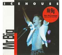 Mr. big (Ext./Single Versions)/No Promises (Special US Club Mix, 1986) [Import]