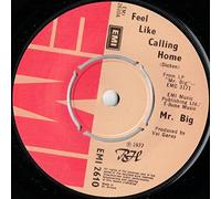Mr. Big - Feel Like Calling Home