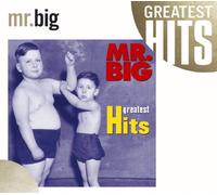 Mr. Big - Greatest Hits-17tr [Import]