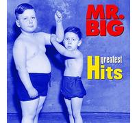 Mr. Big - Greatest Hits [Import]