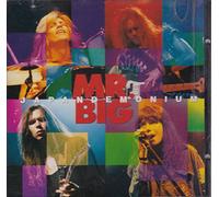 Mr.Big - Japandemonium