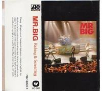 Mr. Big Live