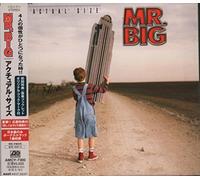MR BIG (METAL GROUP) - Actual Size
