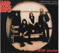 MR BIG (METAL GROUP) - Wild World [UK Import]