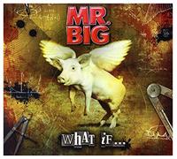 Mr. Big - What If + DVD [Import]