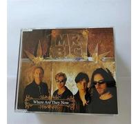 Mr Big - Where are They Now