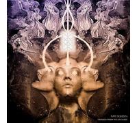 Mr.Bison Echoes from the Universe (Vinyl) 12" Album