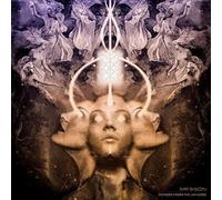 Mr Bison - Echoes From The Universe