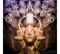 Mr Bison - Echoes From The Universe [Vinyl Lp]