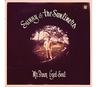 Mr Brown Eyed Soul