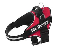 MR DOGGY Harnais pour Chien Personnalisé avec Nom - Comprend Deux Étiquettes Velcro Réfléchissantes - Petite, Moyenne et Grande Taille - Résistant, Respirant et sûr (Rouge, L 20-35KG)