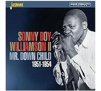 Williamson – Mr. Down Child – CD