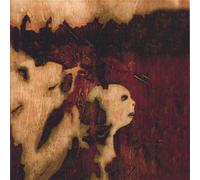 Mr. Gnome - Echoes on the Ground