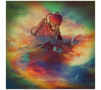 Mr. Gnome - The Day You Flew Away [Vinyl Lp]