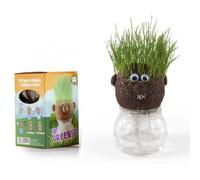 Pot de culture - RADIS ET CAPUCINE - Mr Patate - Gazon à semer - Réserve d'eau capillaire - Vase plastique