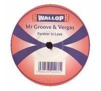Mr Groove & Vergas - Forever in Love [Import]