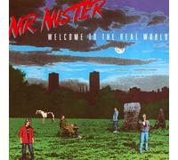 Mr Mister - Welcome to The Real World/2 [Import]