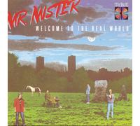 Mr. Mister WELCOME TO THE REAL WORLD (CD)