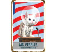 Mr Pebbles Affiche en métal en forme de jeu vidéo - Décoration murale cool - Cadeau pour joueurs - 30,5 x 20,3 cm