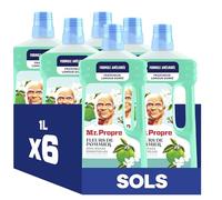 Mr. Propre Nettoyant Liquide Sol Multi-Usages, Grand Format (1L x6), Parfum Fleurs de Pommier, Élimine Jusqu'à 99.9% Graisse et Saleté, Sans Traces, Fraîcheur Longue Durée