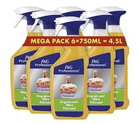 Mr. Propre Professional Spray Désinfectant Et Dégraissant, (6 x 750ml), Odeur Neutre, Dissout Rapidement La Graisse Et Élimine La Saleté, Ne Laisse Aucun Résidus Dangereux, Agréé Contact Alimentaire