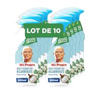 Mr. Propre Spray Javel Parfumé Eucalyptus 800ML, Élimine Jusqu’à 100 % Des Taches Tenaces Pour Un Nettoyage Ultra Hygiénique