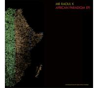 African Paradigm Ep 1