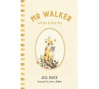 Mr Walker And The Perfect Mess