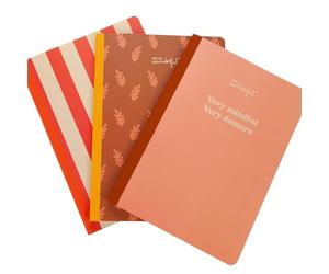 Mr Wonderful - Coffret de 3 carnets 19 x 25 cm - Carreaux, lignes et points - 80 pages chacun - Reliure cousue - Très attentif, très discret