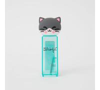 Mr. Wonderful - Taille-crayon avec récipient - Chat