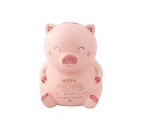 Mr. Wonderful WOA10323ES Tirelire Cochon pour Tout ce Qui Nous Attend Rose