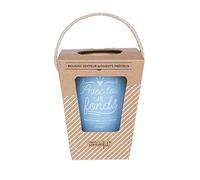Mr.Wonderful WOM03034 Bougie Bleu 15 x 20 x 15 cm