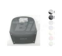 18806 - Pare-brise pour moto d''''origine compatible avec SUZUKI DR 650 RS 650 1