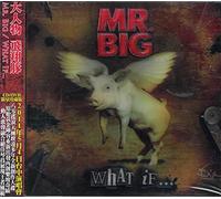 Mrbig - What If [Import]