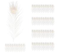 MRNHA 50 PièCes SéRies/Plumes de Paon Blanc Naturel dans L'ŒIl, 10 à 12 Pouces de la DéCoration de Mariage en Plume de Paon