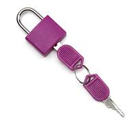 MroMax Cadenas à clé, cadenas en alliage de zinc avec 2 clés, coque en ABS violet de 22,5 mm de largeur, cadenas étanche pour utilisation en extérieur pour valises, maison, boîte à outils