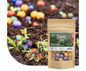 MRS Flower Bombs : 100x Bombes de graines - Joyeuses fêtes ! - Graines 100% biologiques - Bombes de fleurs sauvages - Colorées et joyeuses - Fabriquées à la main - Un joli cadeau à offrir !