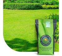 MRS Green Perfection: Semences de gazon d’ornement - 1 kg pour 50 m² - Robuste et esthétique - Pour le soleil et l'ombre - Rapide et durable