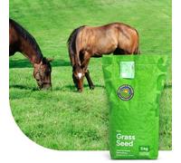 MRS Horse Elite Mix: Mélange Prairie Universelle - 1 kg pour 100 m² - Idéal pour les chevaux et le petit bétail - Convient aux pâtures et aux grands espaces - Facile à entretenir - Couverture rapide