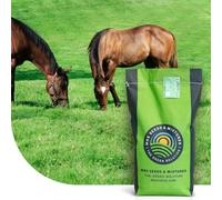 MRS Horse Recovery Mix - Mélange de regarnissage pour paddocks et pâtures de chevaux - 1 kg pour 100 m² - Germination rapide - Tolérance élevée au piétinement