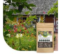 MRS Mélange de fleurs de cottage-garden anglais - 50 grammes pour 25 m² - Fleurs sauvages annuelles et vivaces - Attractif pour les insectes utiles - Peu d'entretien