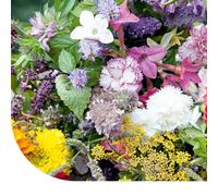 MRS Mélange de fleurs de jardins parfumés - 1 kg pour 500 m² - Belles fleurs aux parfums délicieux - Attire les insectes utiles