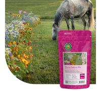 MRS Mélange de fleurs de prairie des chevaux - 250 g pour 125 m² - Mélange de variétés de fleurs annuelles et vivaces - Très attractif pour les insectes pollinisateurs