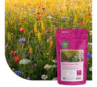 MRS Mélange de Fleurs Indigènes - Graines de Fleurs Vivaces et Annuelles - 1 kg (500 m²) - Favorise la Biodiversité - Attire Papillons, Bourdons et Abeilles