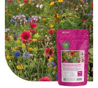 MRS Mélange de fleurs pour prairie d’abeilles - 1 kg pour 500 m² - Graines de fleurs multicolores annuelles et vivaces - Source naturelle de nourriture pour abeilles, bourdons et papillons