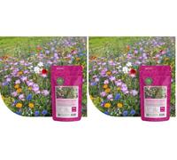 MRS Mélange de fleurs sauvages annuelles et vivaces - 250 g pour 125 m² - 62 variétés de fleurs multicolores riches en nectar - Attire abeilles et papillons (Lot de 2)
