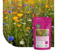 MRS Mélange de fleurs sauvages basses 1 kg pour 500 m² - 31 variétés annuelles et vivaces - Graines de fleurs des champs - Attire abeilles, bourdons et papillons